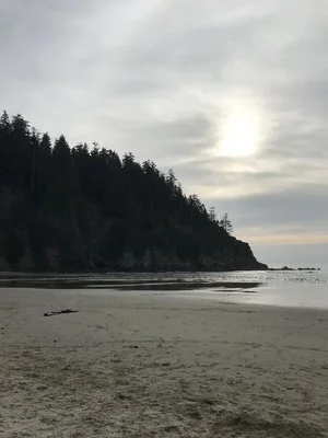 Gratitude and Goal Setting