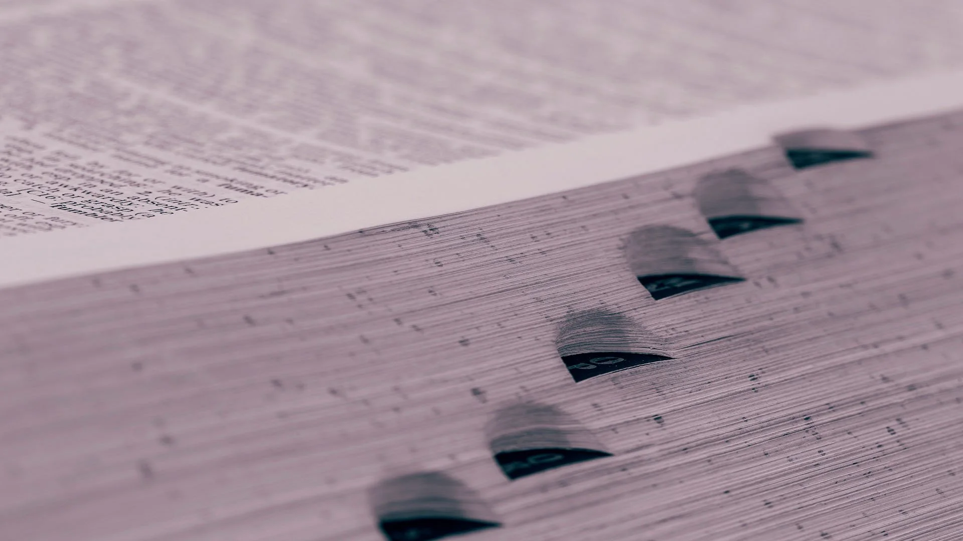 We Put Four Online Grammar Checkers to the Test. They Flunked.