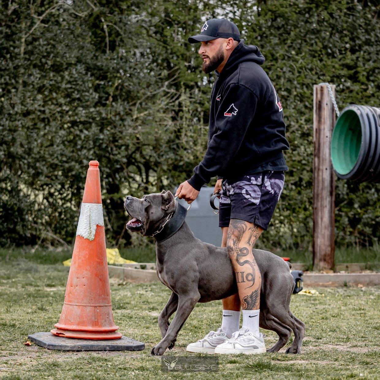 Man with tattoos holding a large gray dog on a leash outdoors near an orange traffic cone.