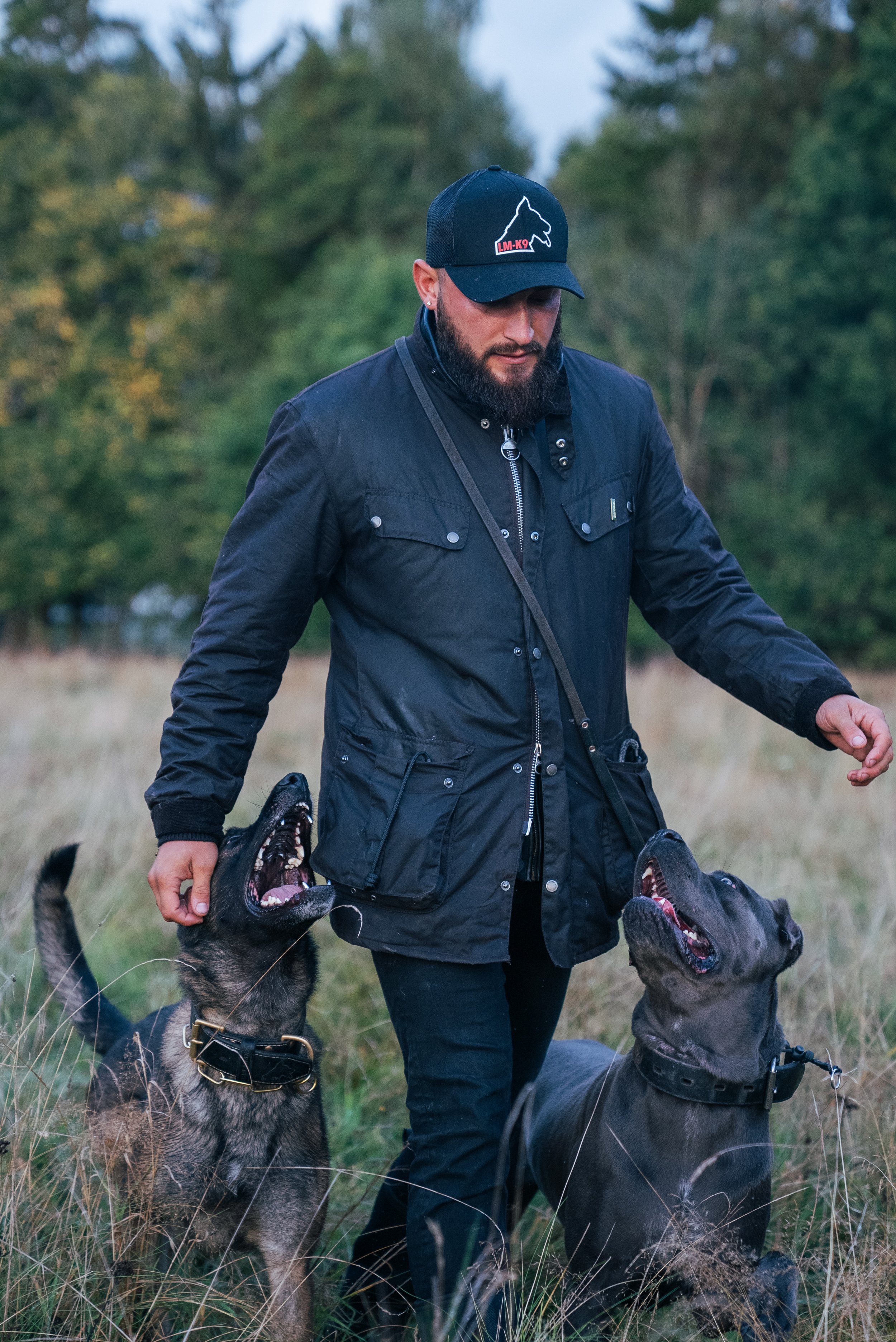 Man walking with two dogs on a field, wearing a black jacket and cap