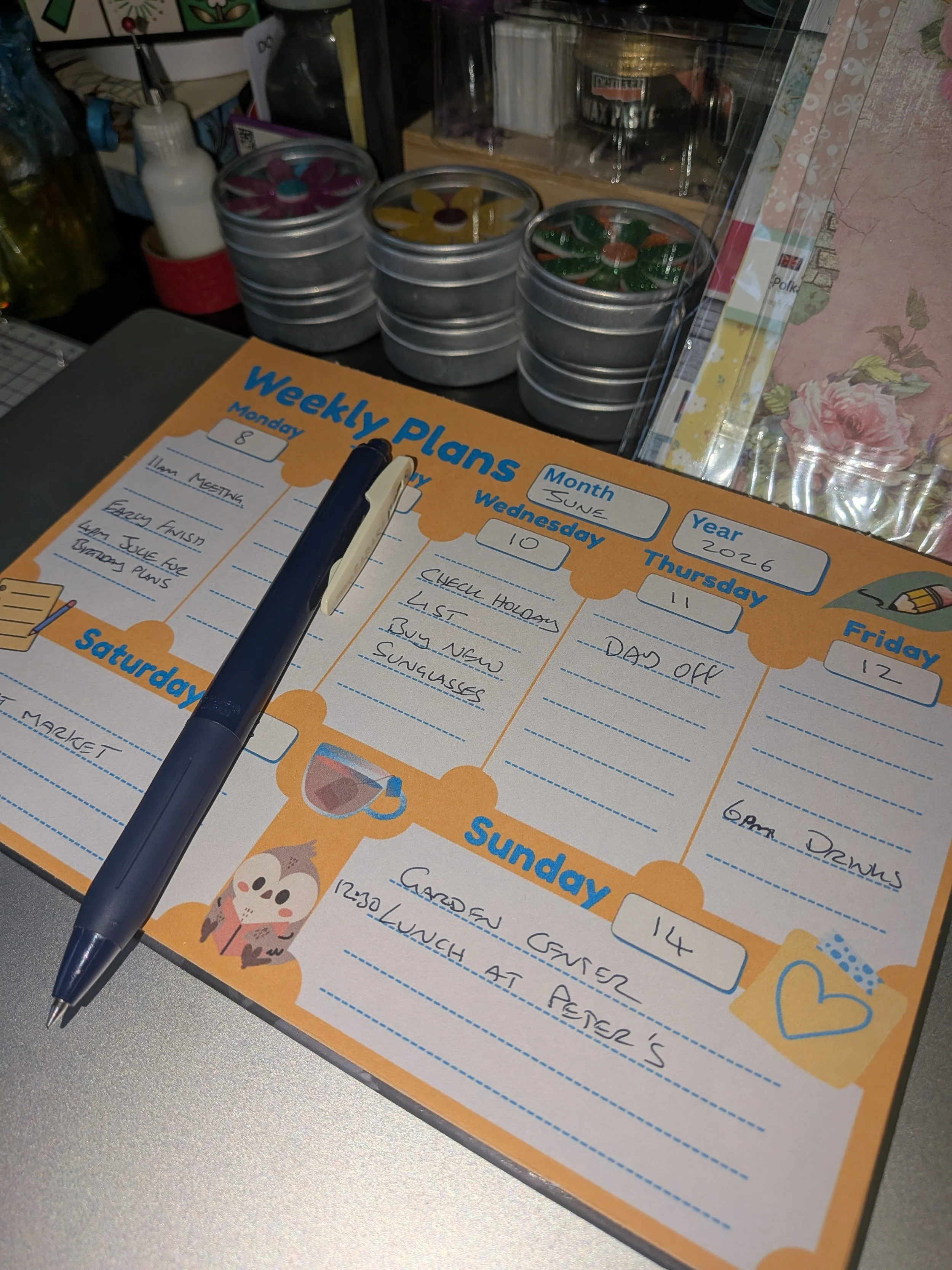 week plans orange with notes.jpg