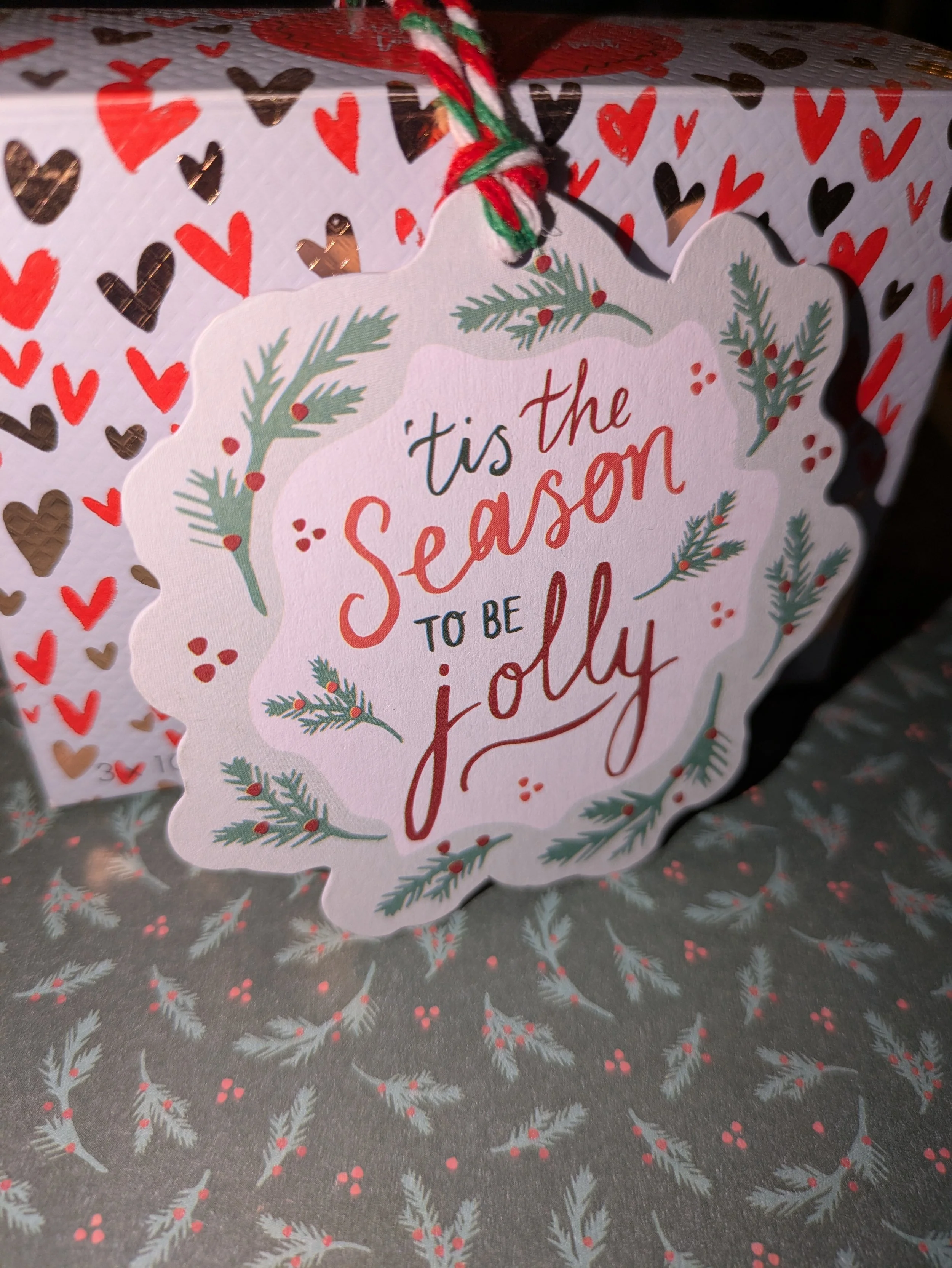 Tis the season jolly gift tag side view.jpg