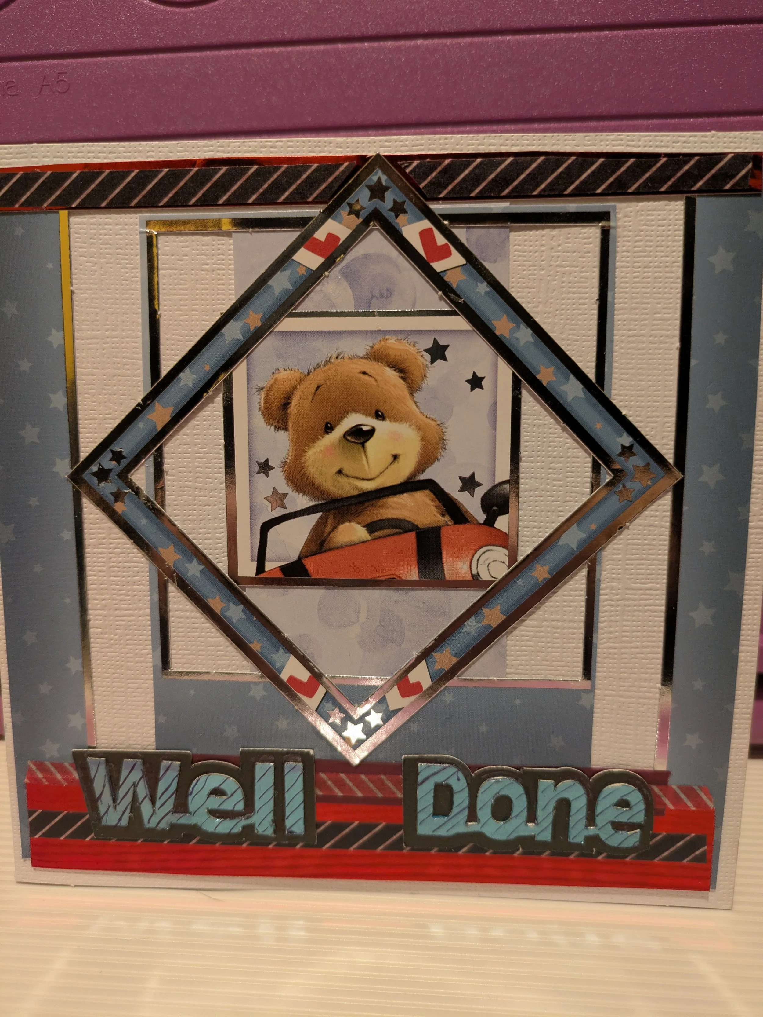 Well Done bear driving.jpg
