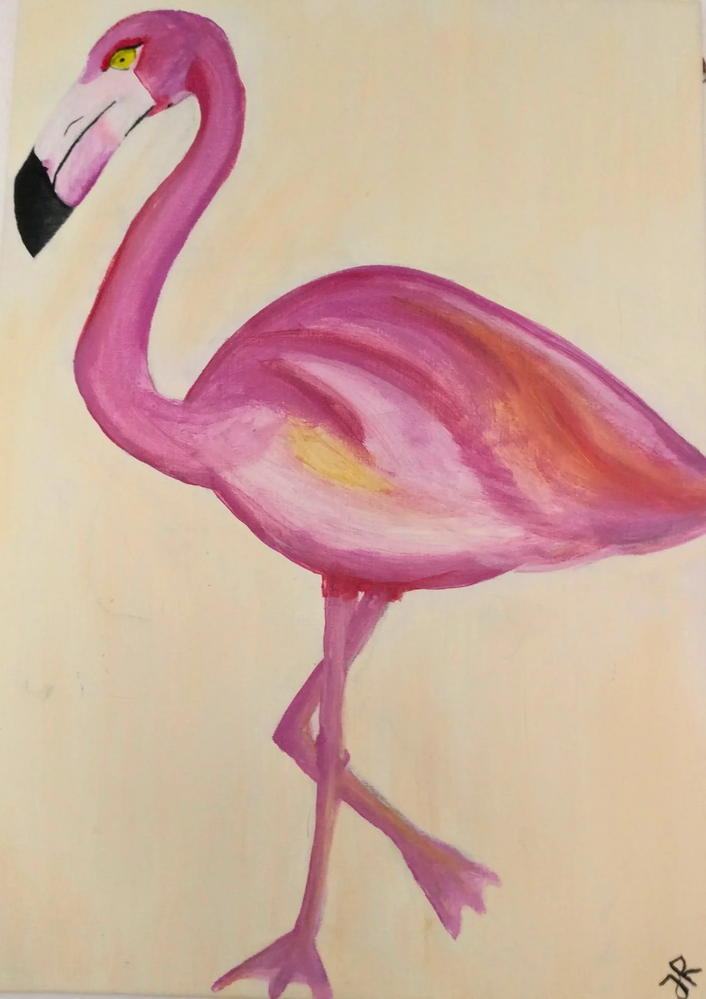 Flamingo
