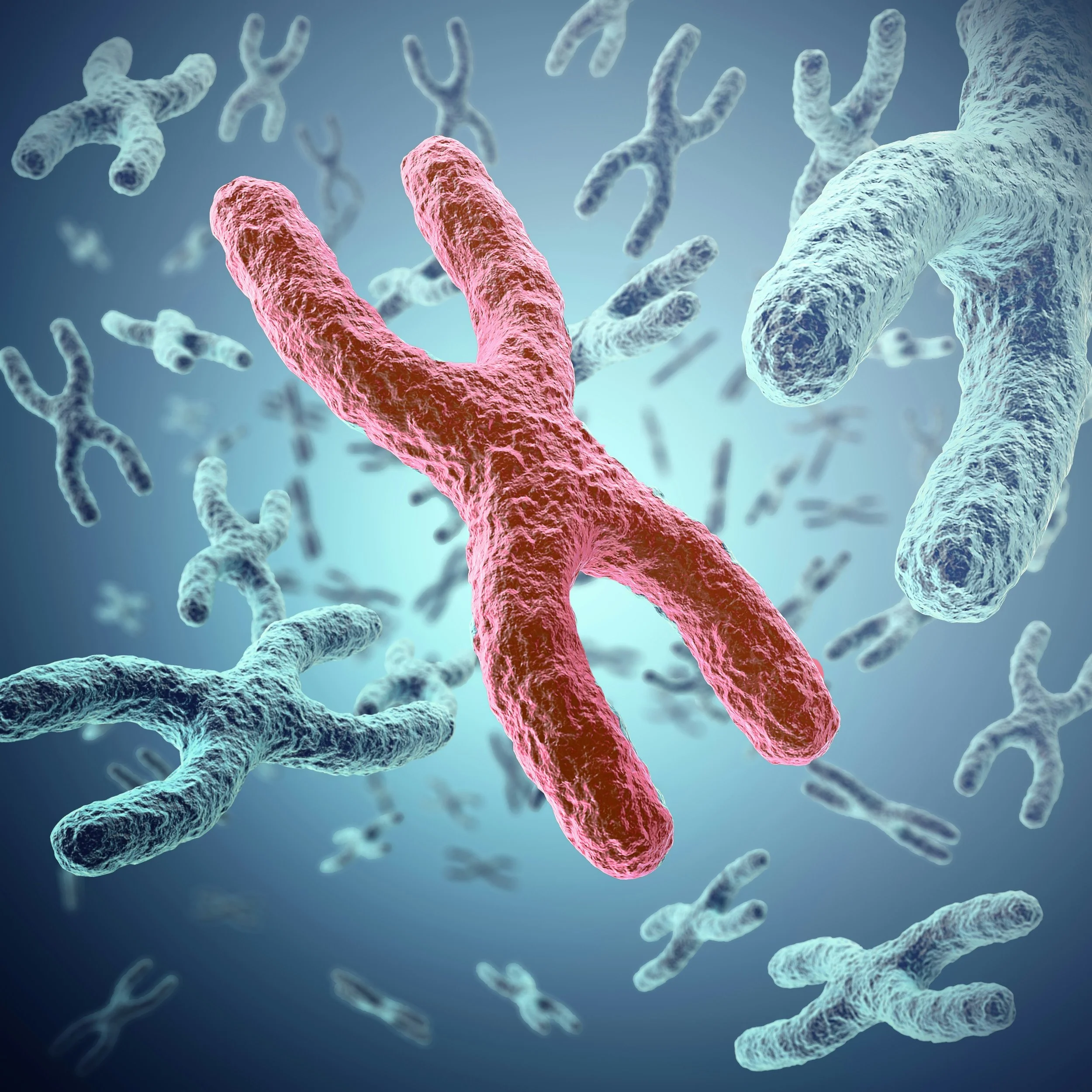 Antibody.jpg