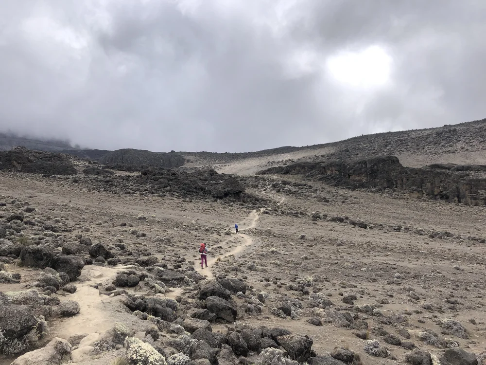 Transitioning from Moorland to Alpine Desert zone