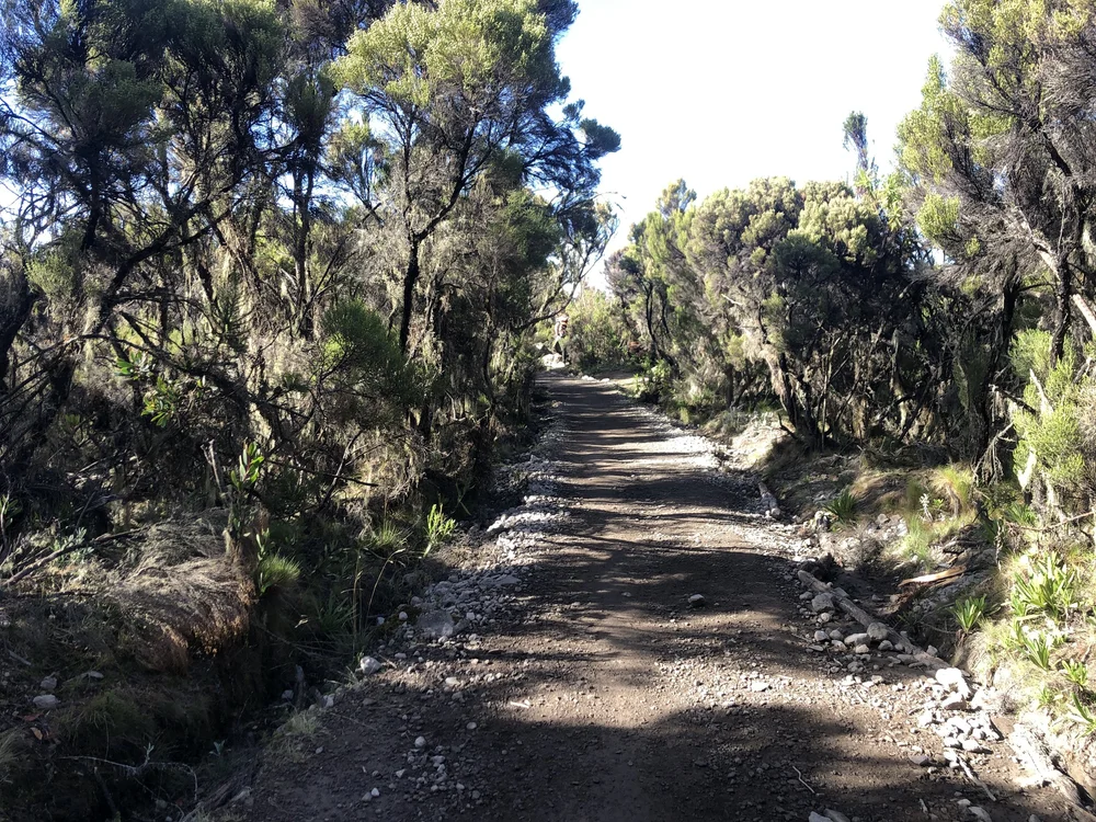 One of the many beautiful parts of the trek