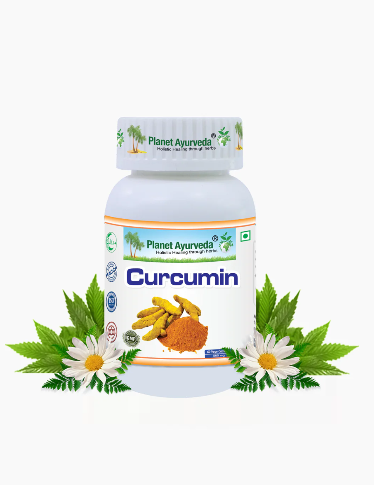 CURCUMIN CAPSULES
