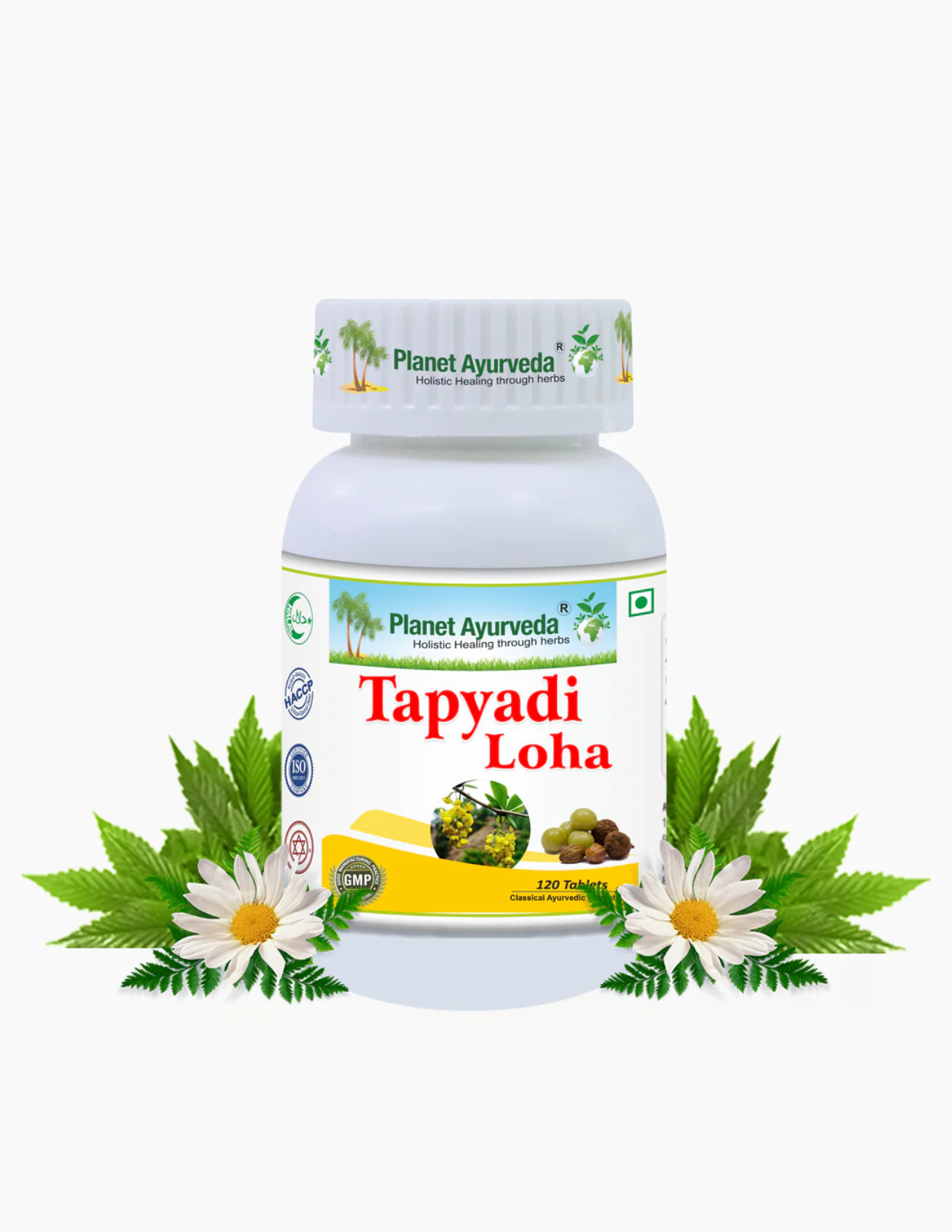 Tapyadi Loha