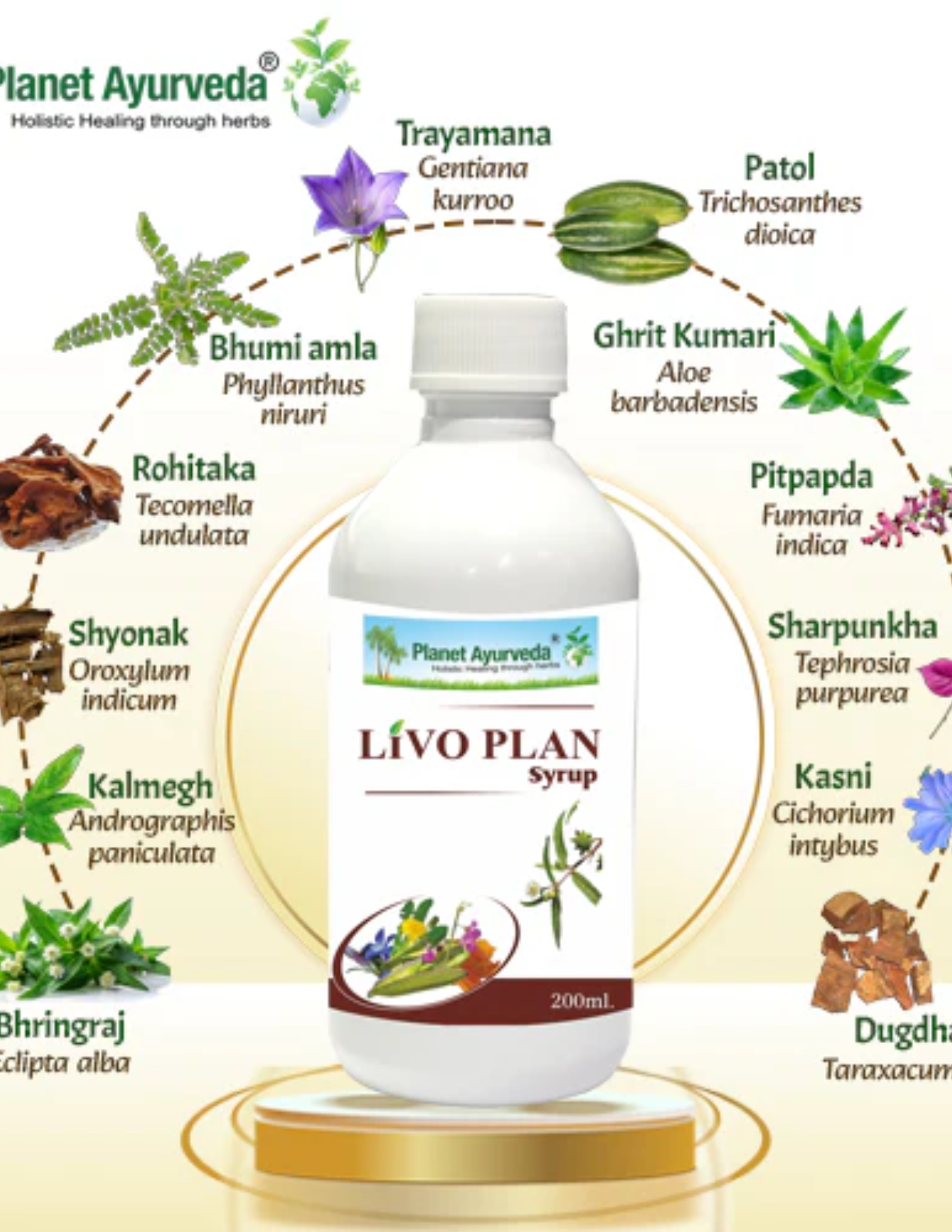 LIVO PLAN SYRUP