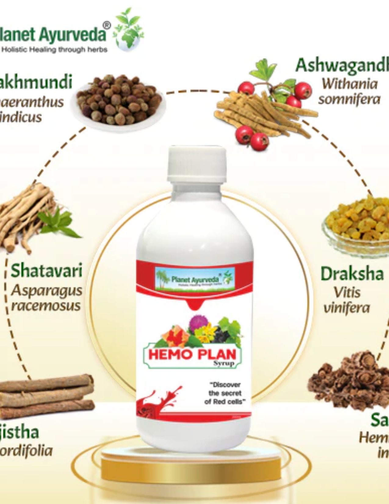 HEMO PLAN SYRUP