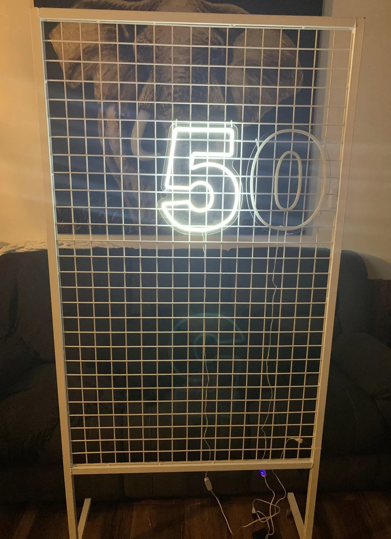 449522303_1089173685998956_664655969202412962_n.jpg