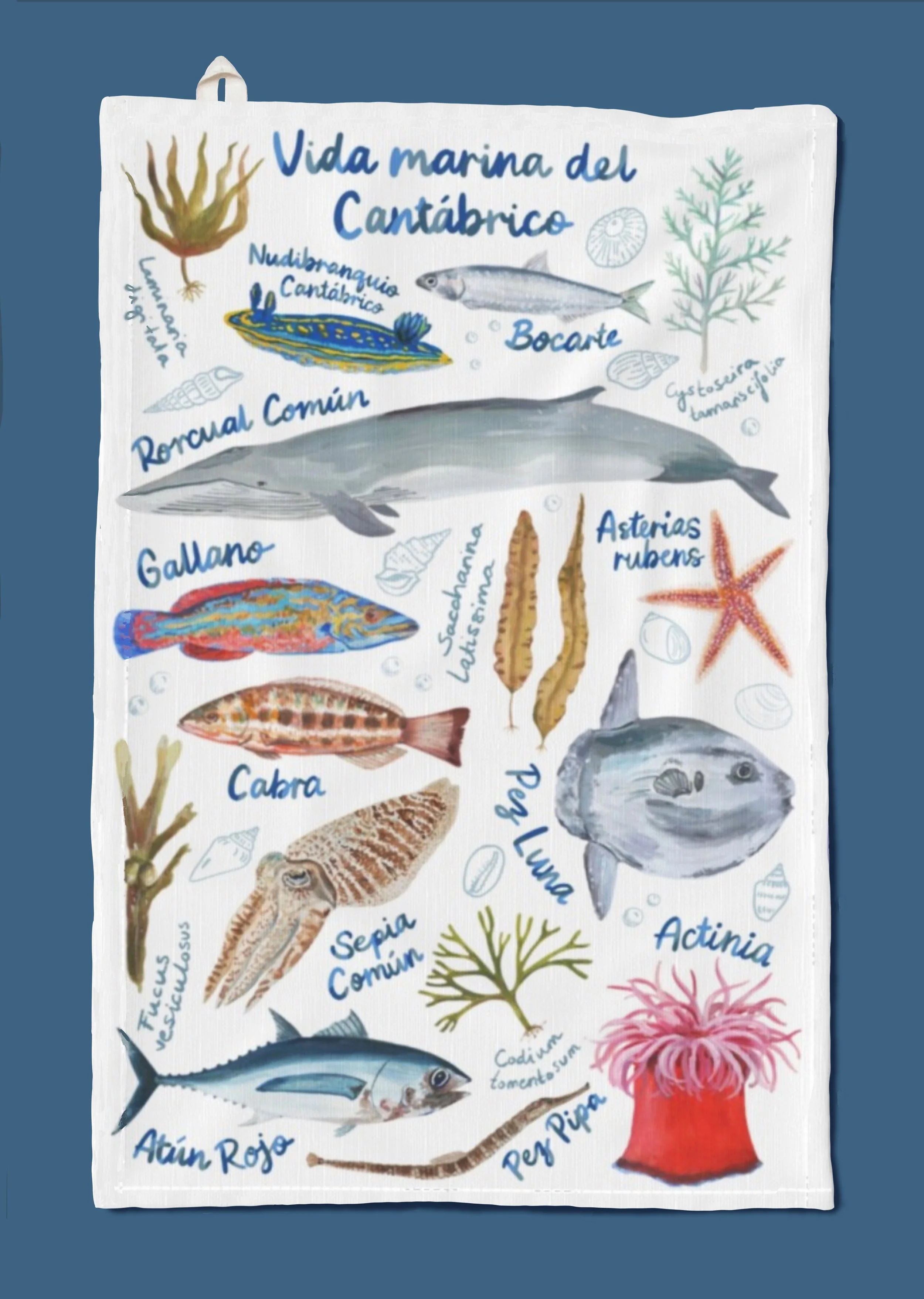Vida Marina del Cantábrico - Paño de Cocina