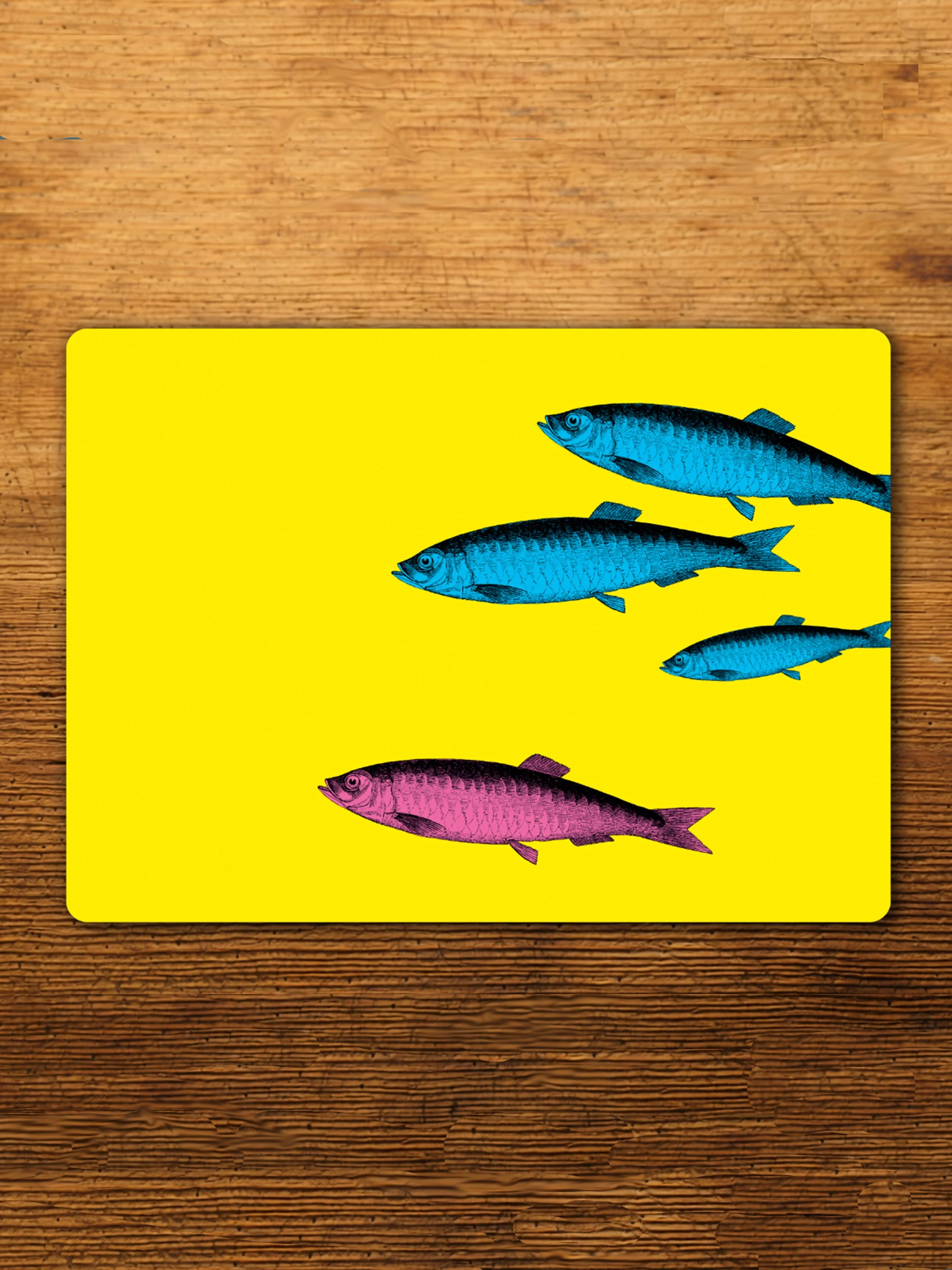 sardines 2.jpg