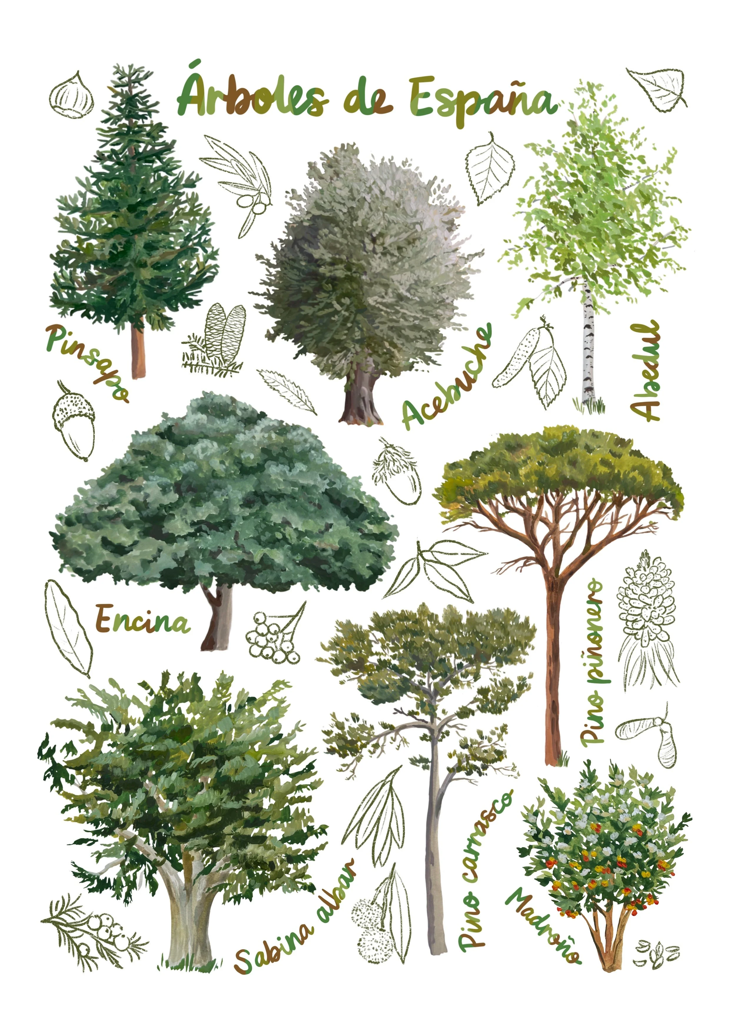 Arboles de España.jpg