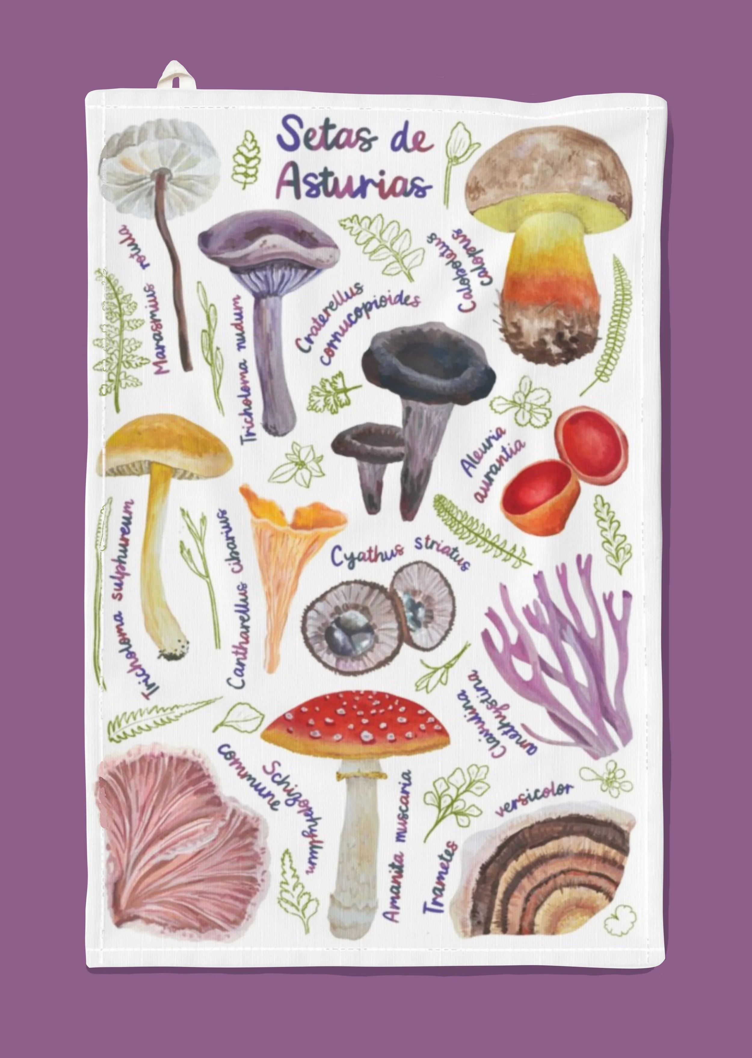 Setas de Asturias - Paño de Cocina