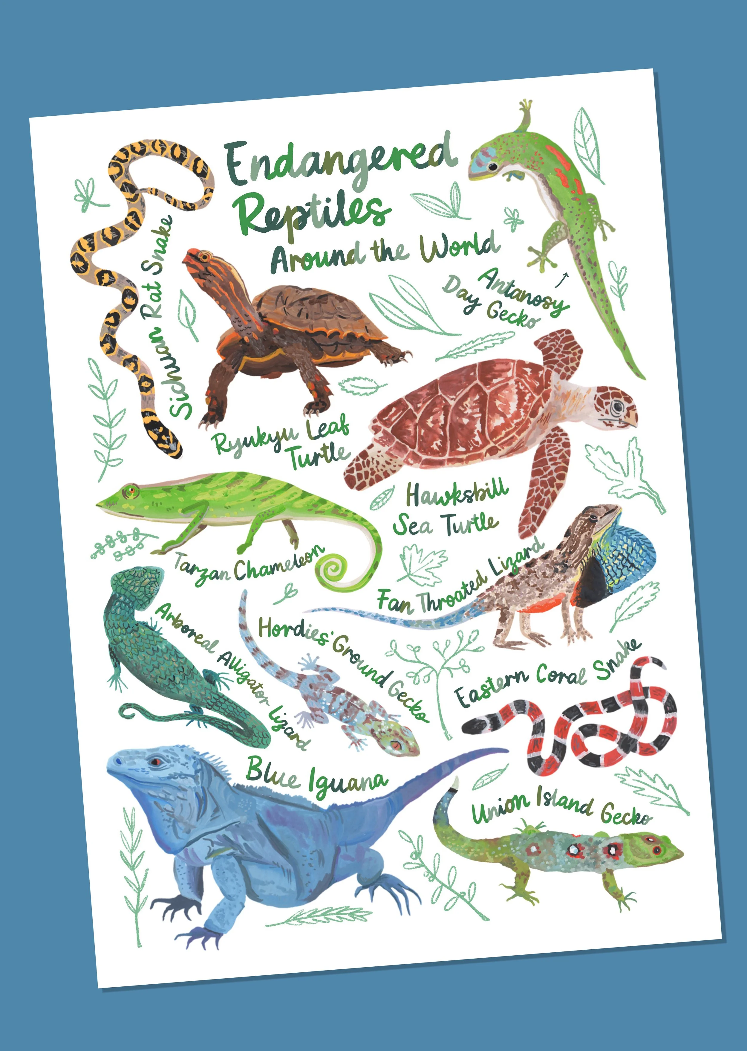 Endangered Reptiles.jpg