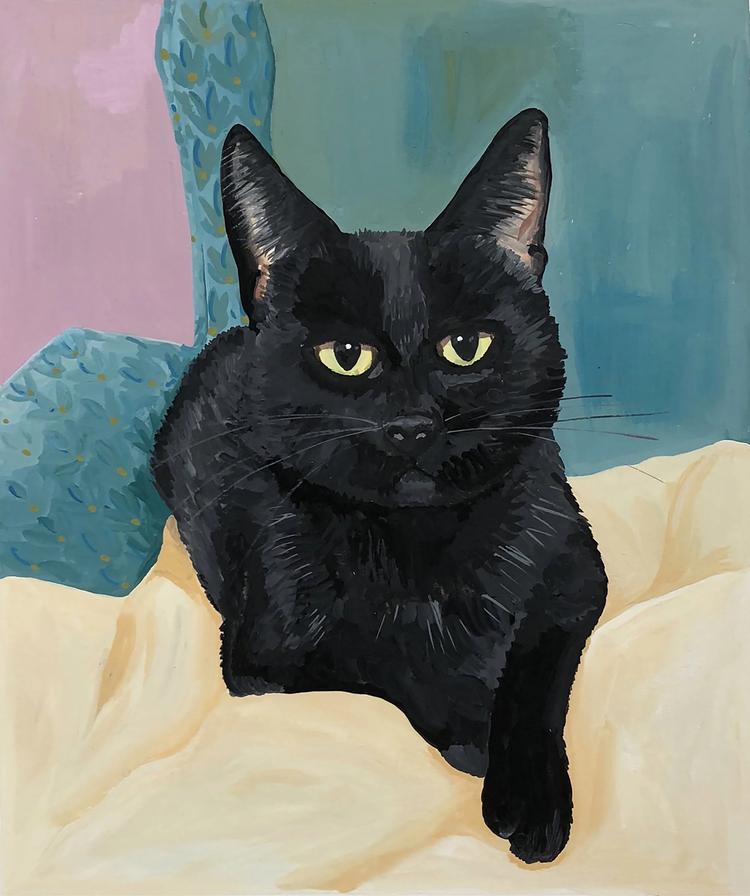 Gato Negro