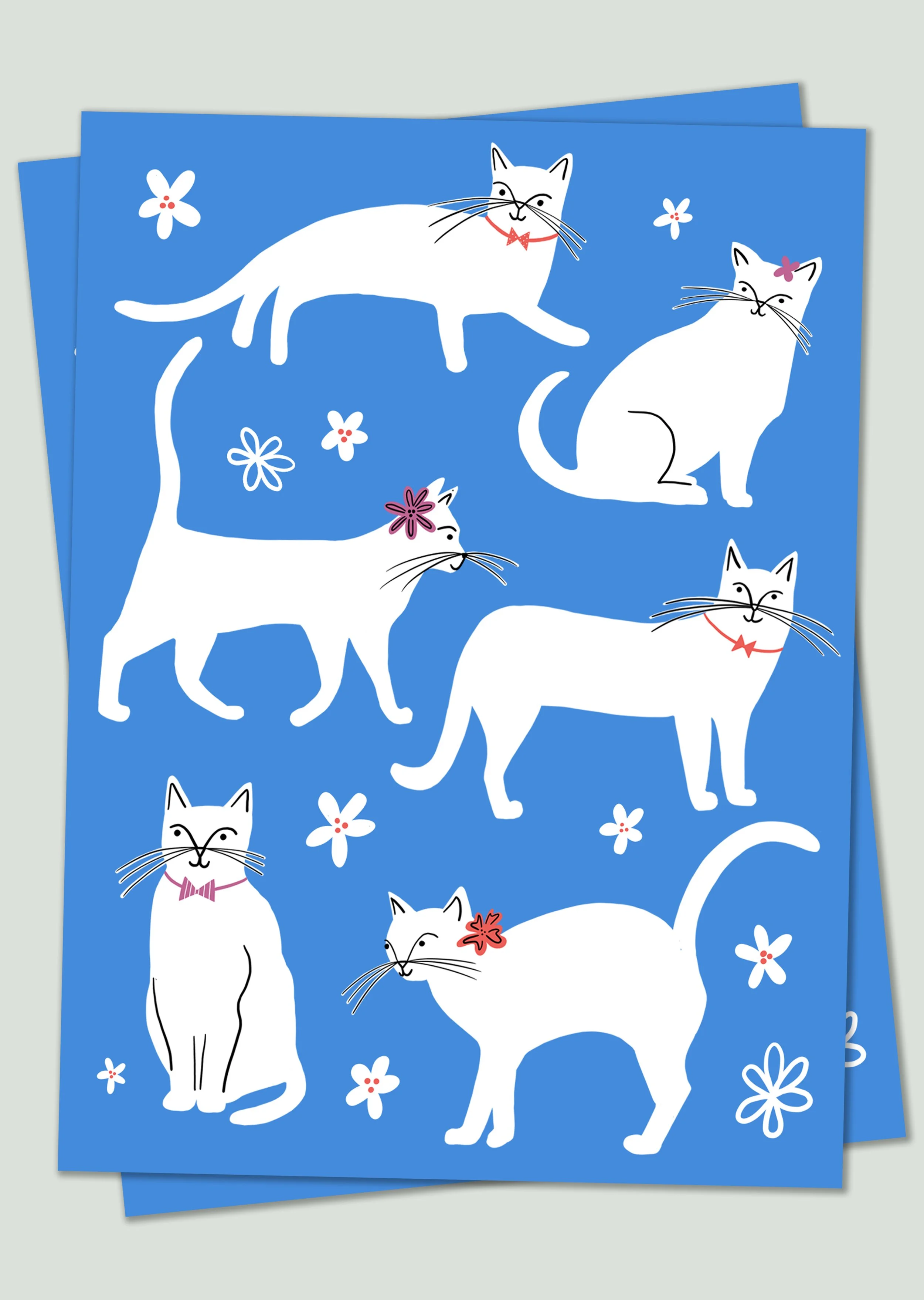 Blue and White Cats.jpg