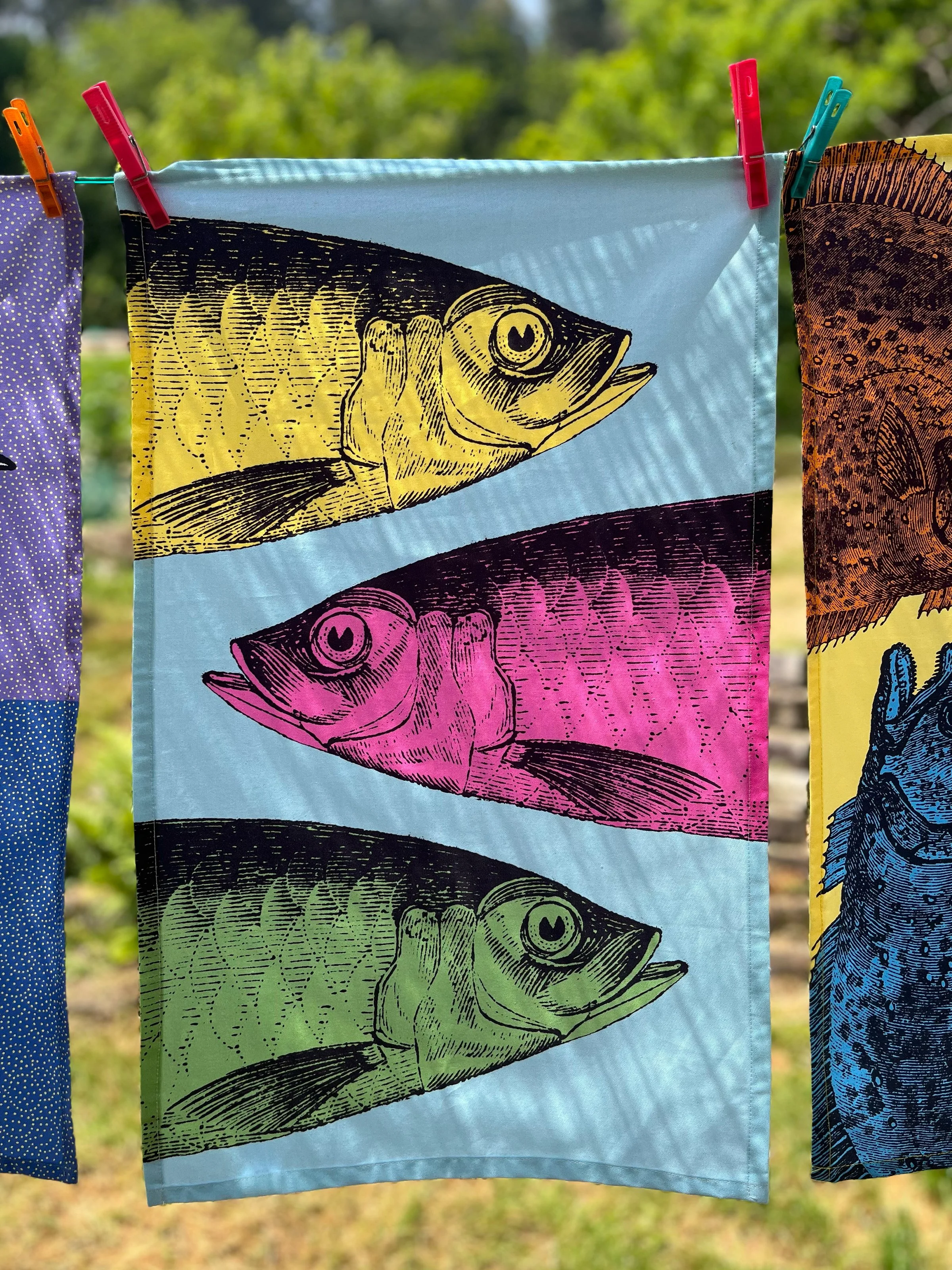 Sardinas - Paño de Cocina