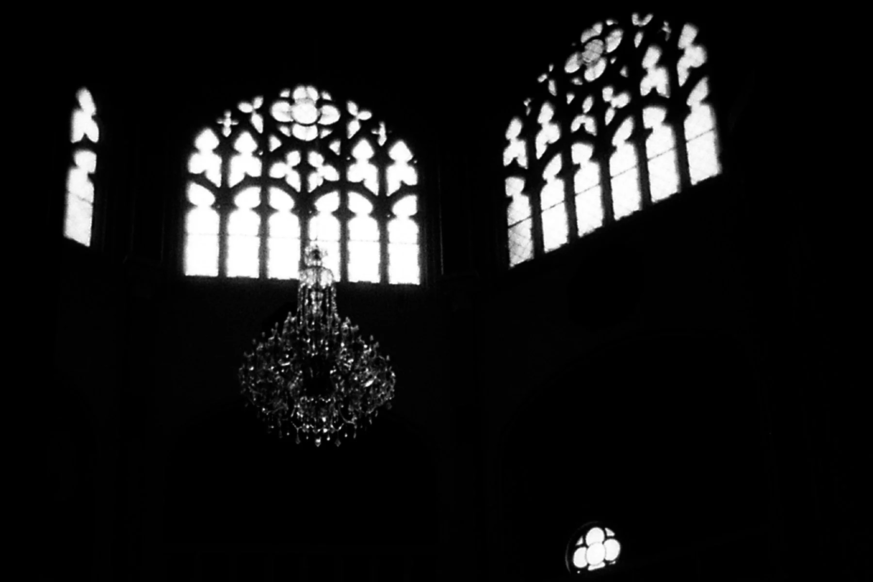 img317.jpg