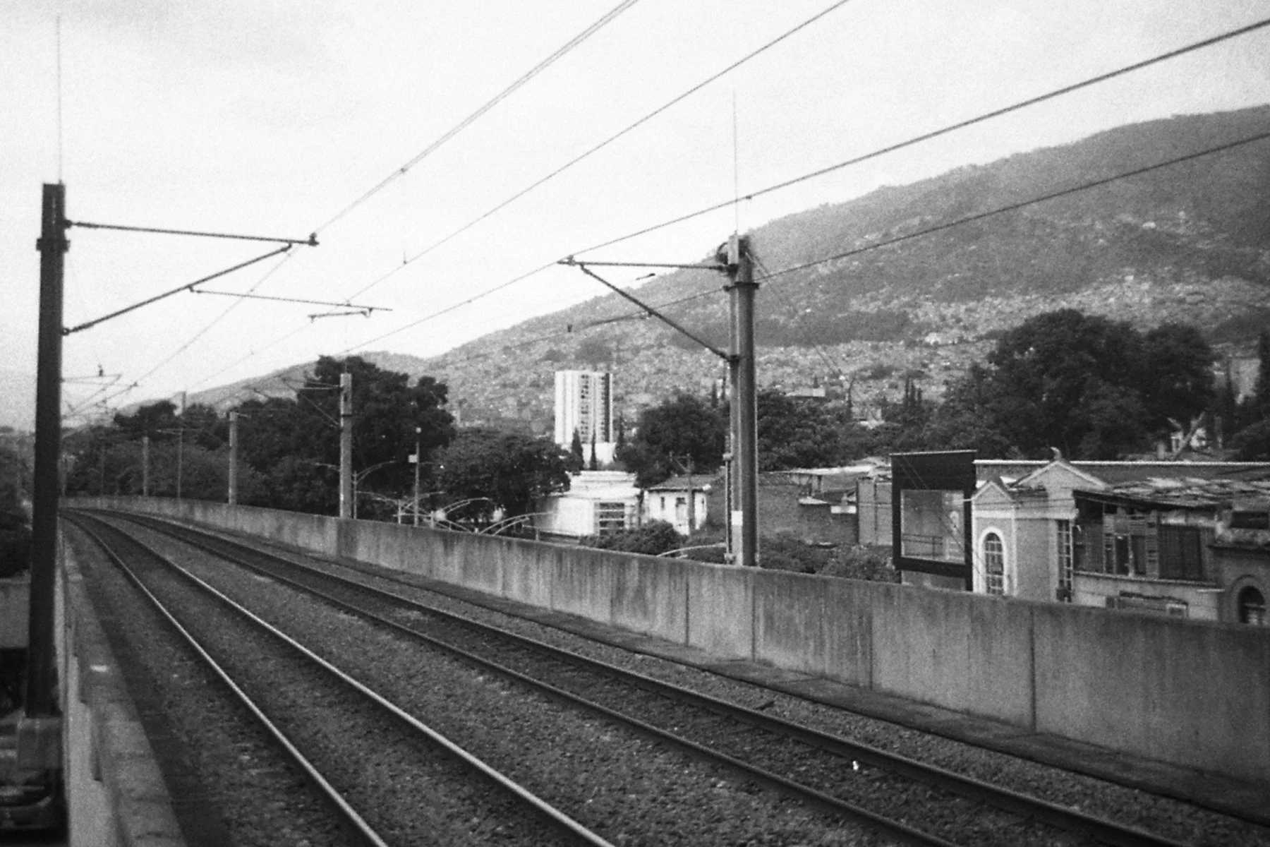 img312.jpg