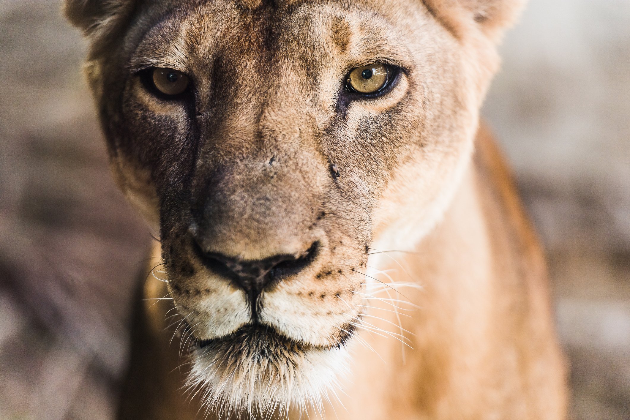 The Rage Hangover: What to Do After You Blow Up