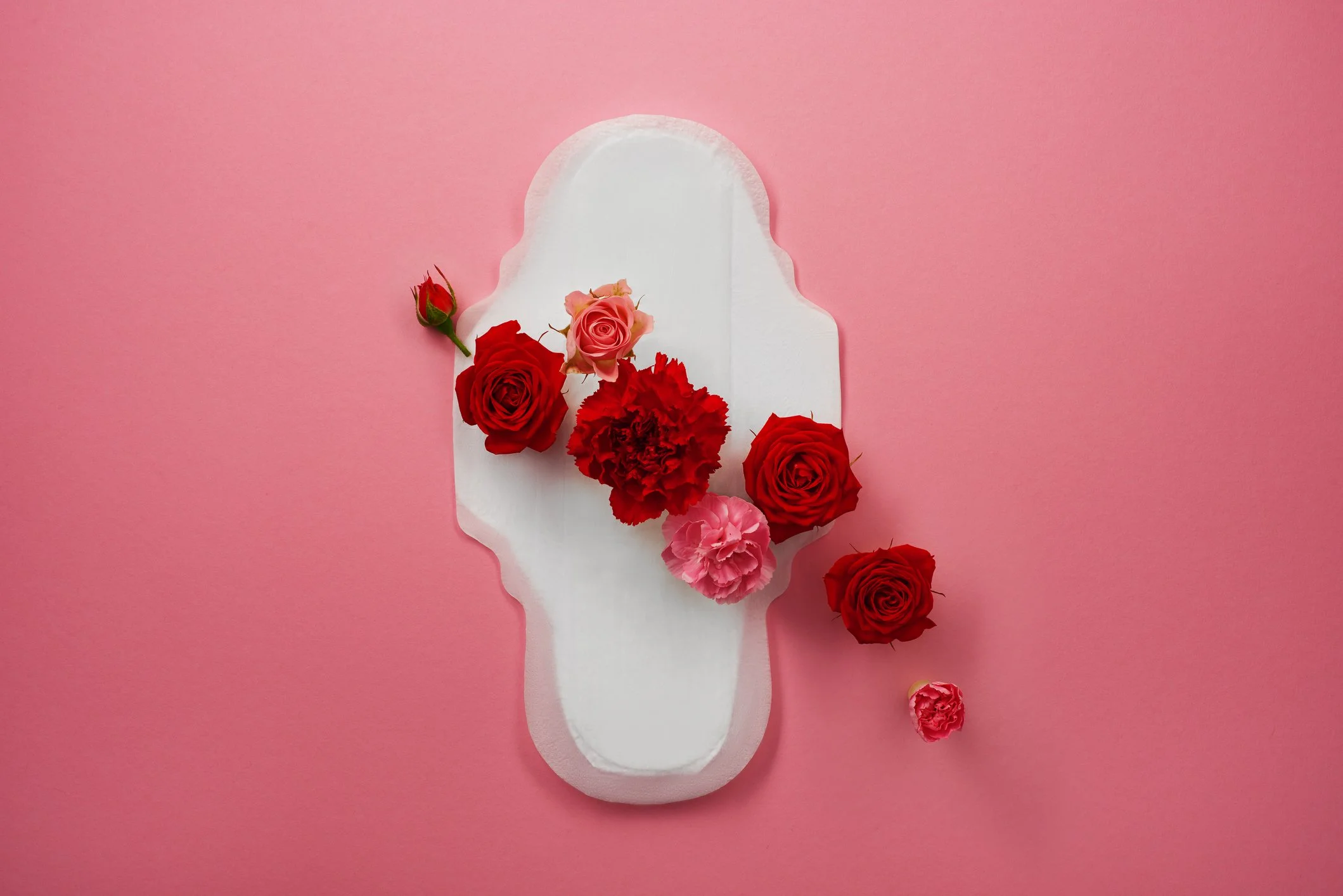 Cycle Health 101: Understanding Your Menstrual Cycle Without Shame or Guesswork