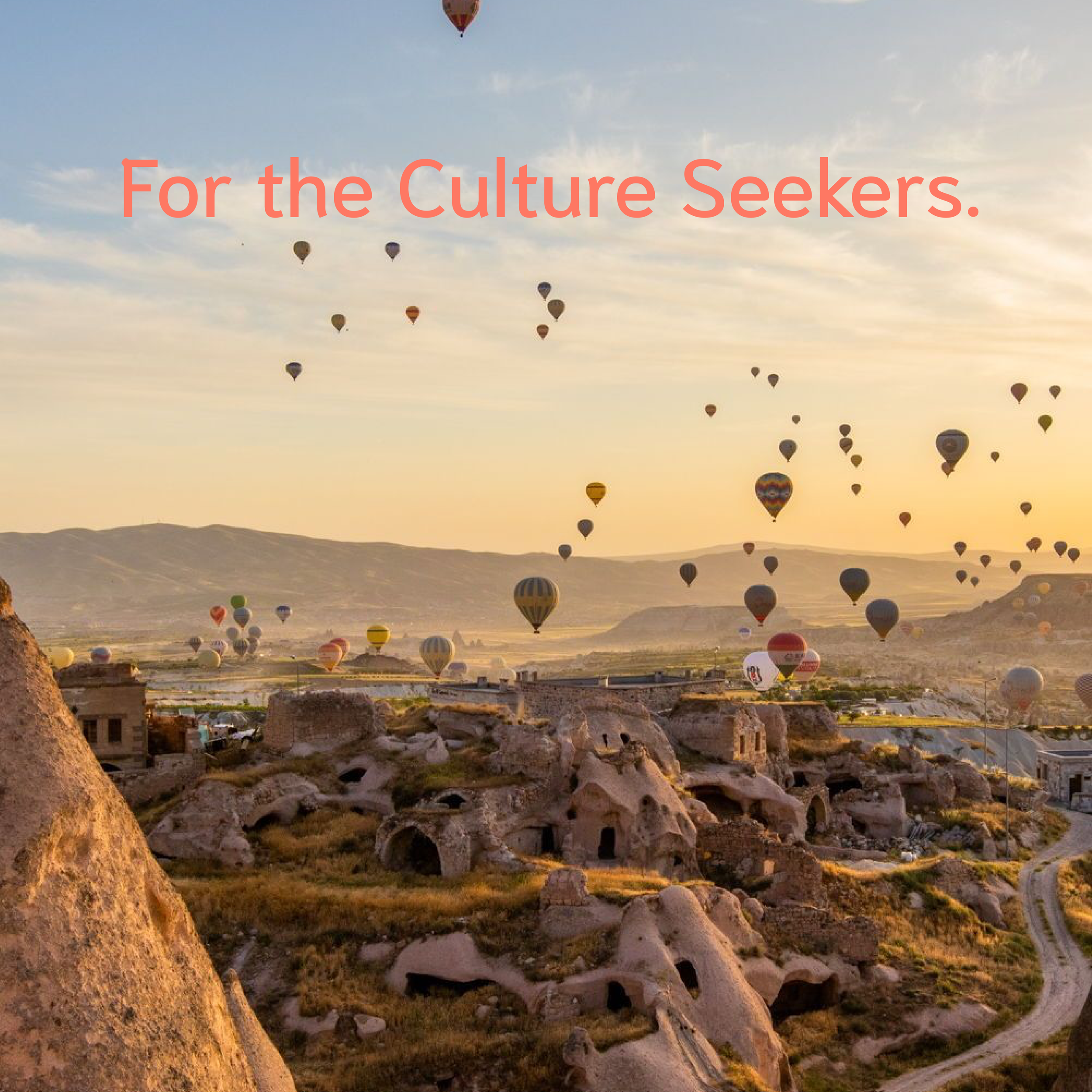 Trippli_Square_Images-v1.0-04.png