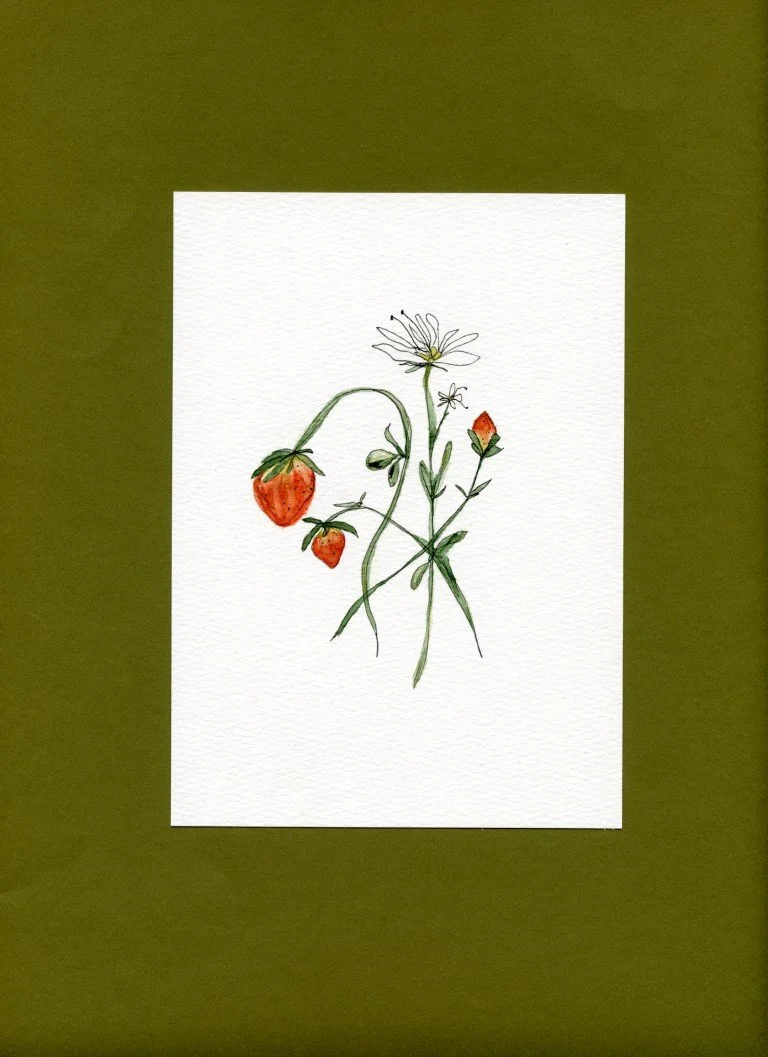 Garden_Strawberry002 (Medium).jpg