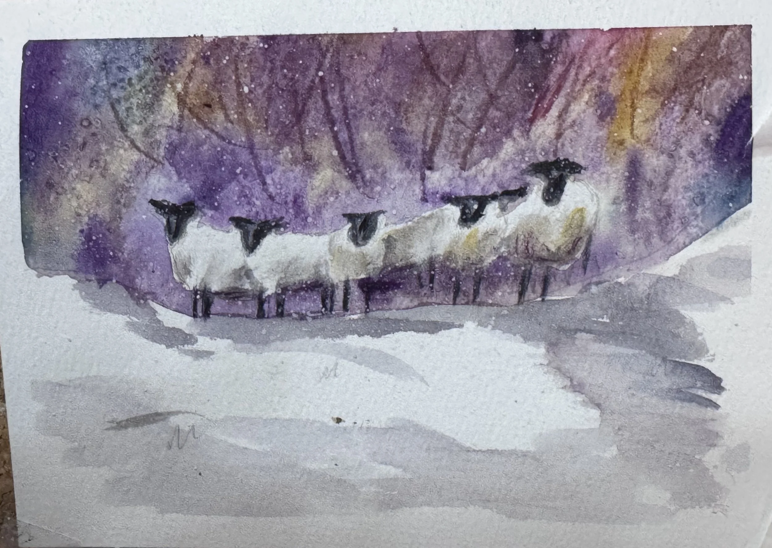 5. Winter studies in run up to Christmas 