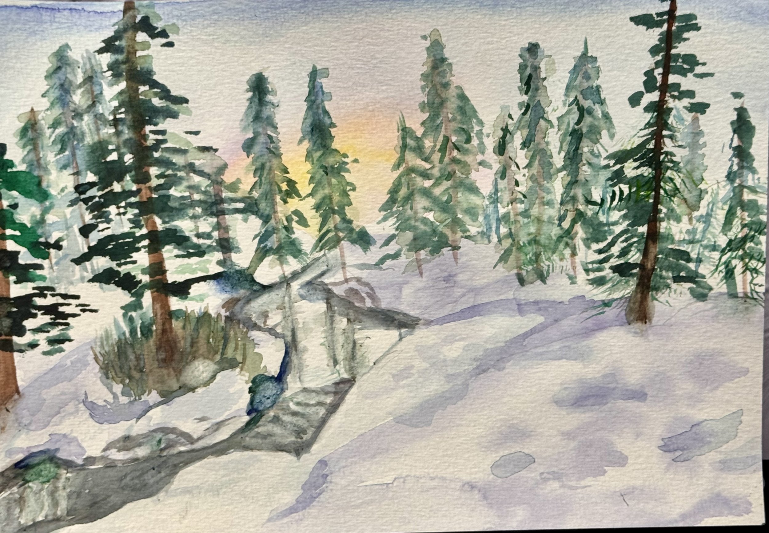 Winter wonderland