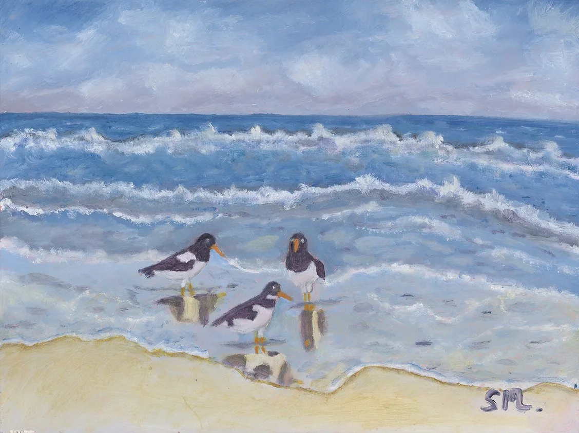 Shore Walkers