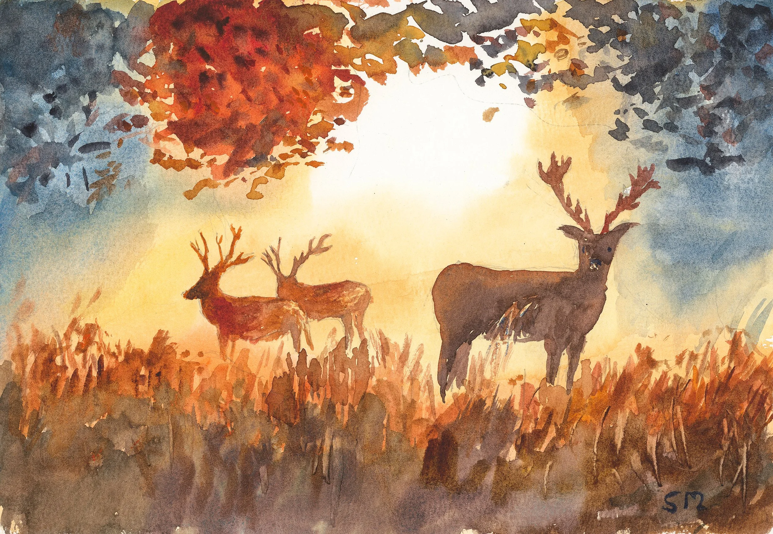 Majestic evening deer original watercolour on archival cotton paper