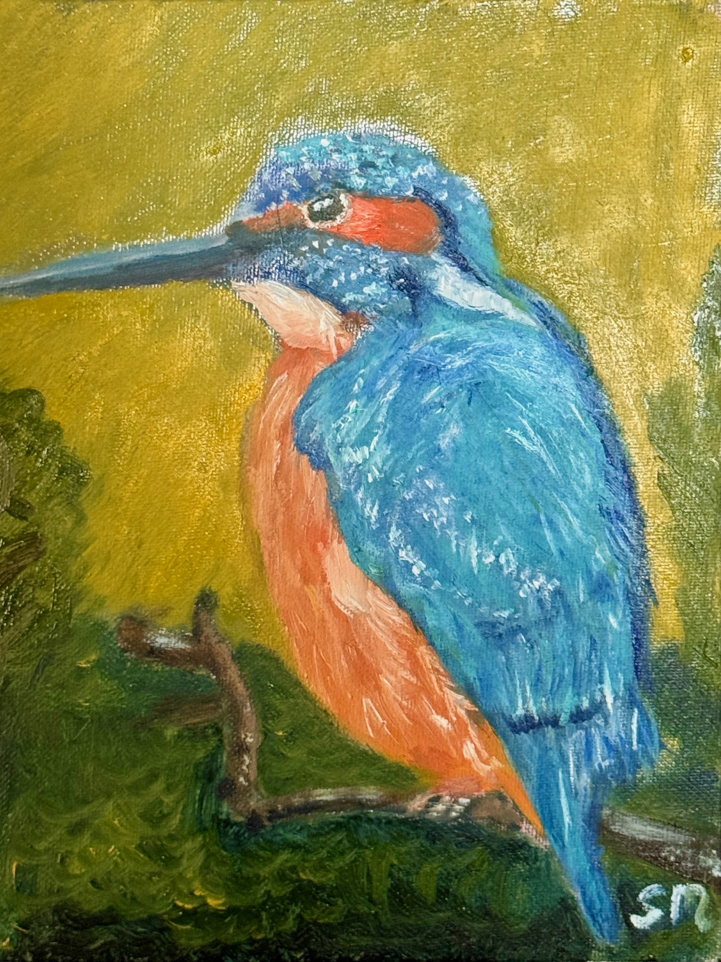 Kingfisher.jpeg