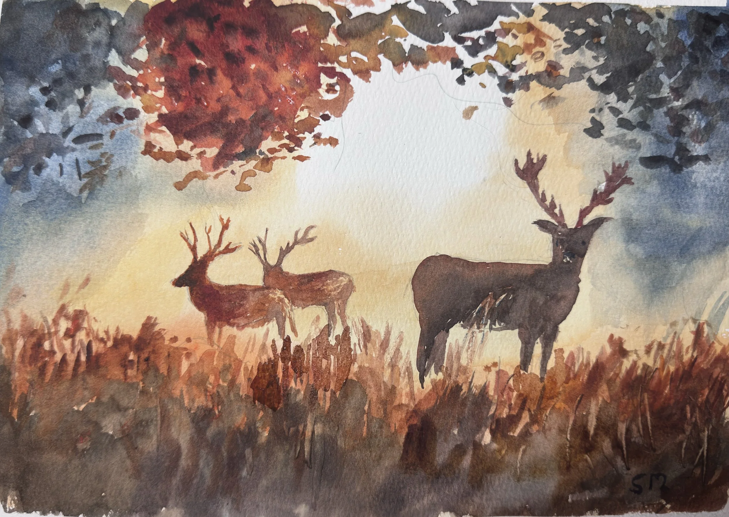 Majestic evening deer original watercolour on archival cotton paper