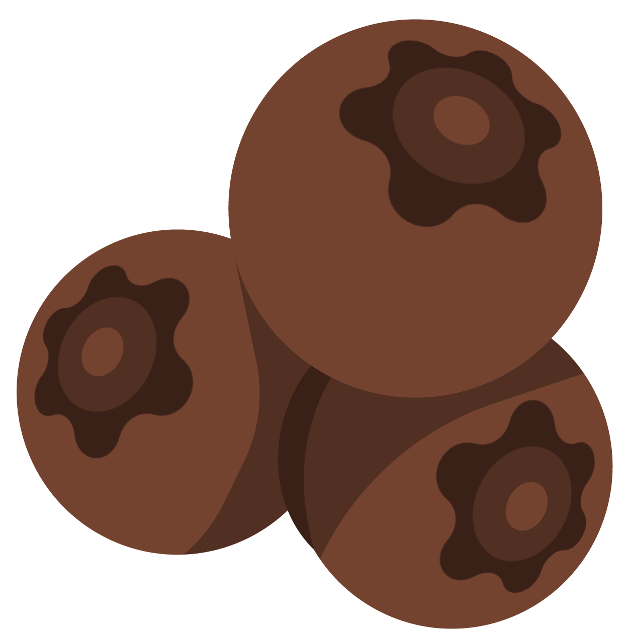 Allspice Berries