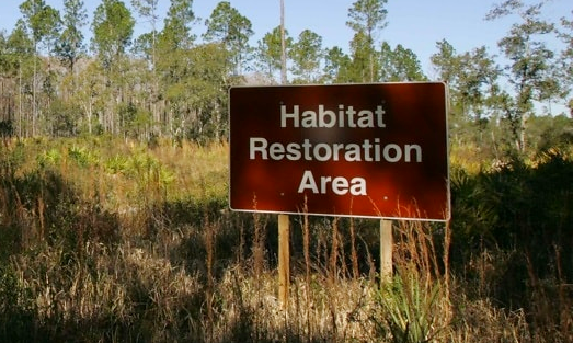habitat restoration area sign in treelined ecosystem