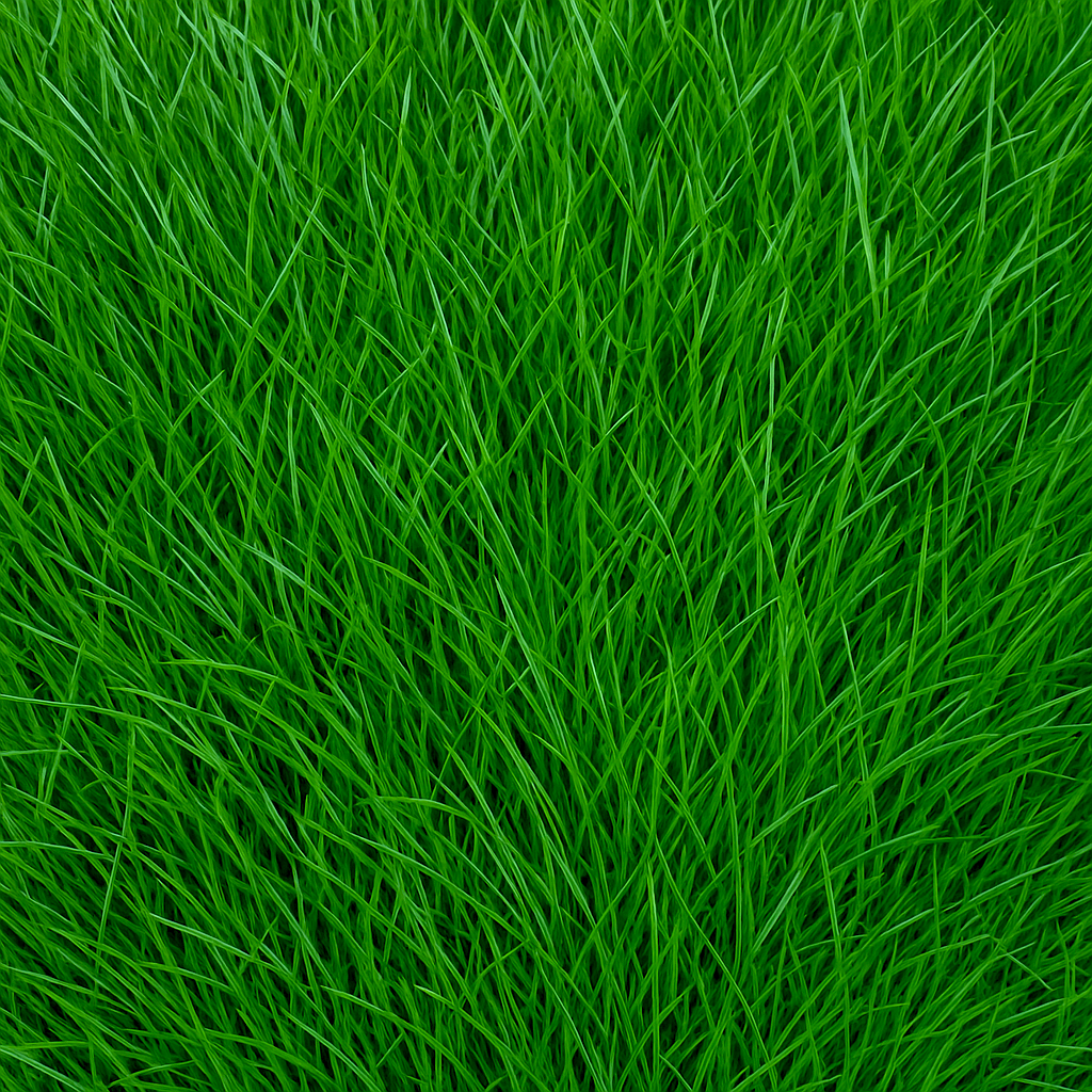 Blue rye hybrid grass