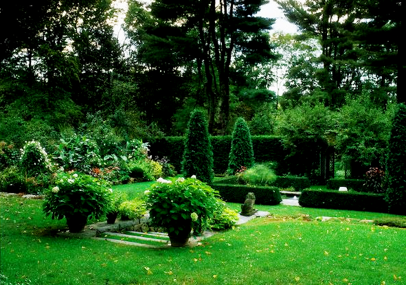Green grass backyard architecture with shrubs trees and stairs