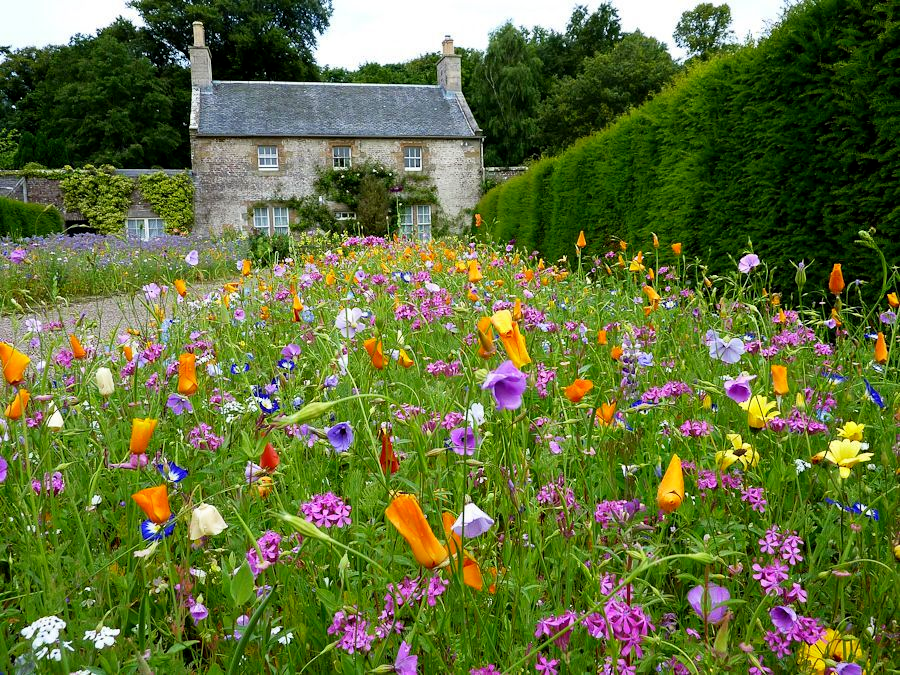 Let GreenAcres transform your landscape with flowers