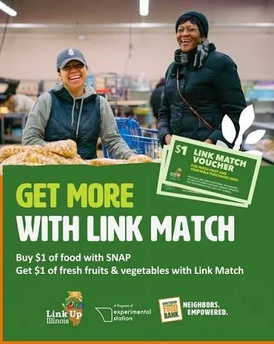 SNAP with LinkMatch