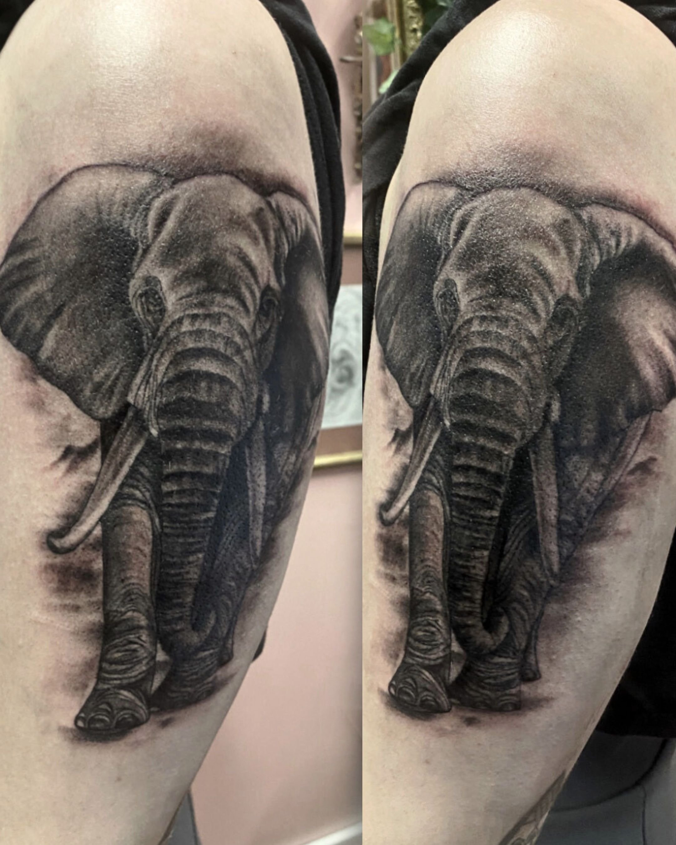 Inaratattoo elefantti.jpg