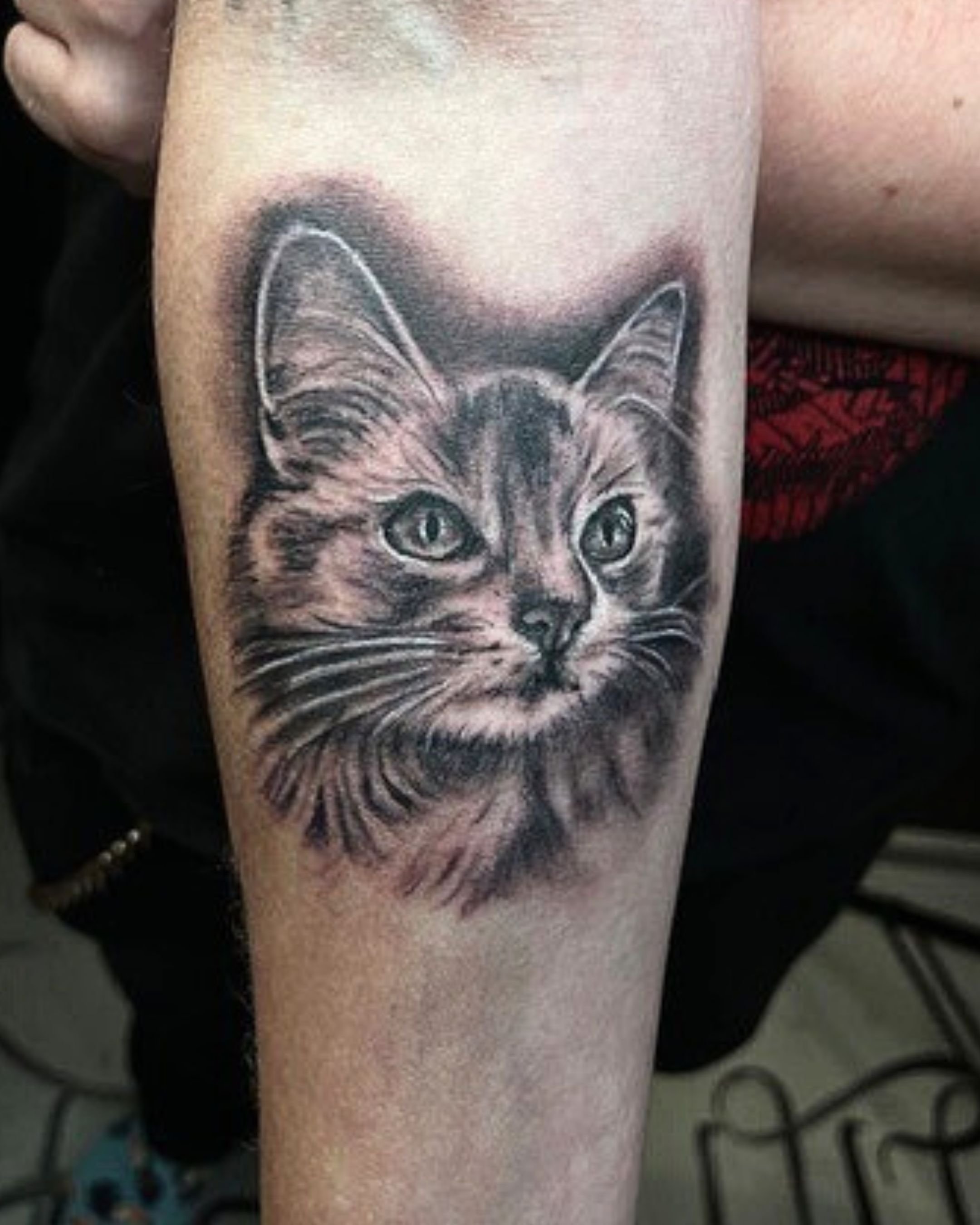 Inaratattoo kissa 3.jpg