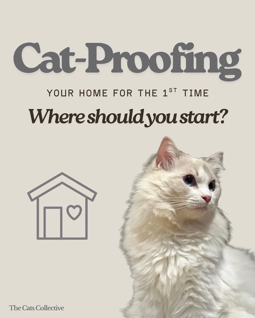 ⚠️ Is your home cat-friendly?

Sometimes, one single mistake can cost your kitty&rsquo;s life! Cat-proofing your home ensures your cat&rsquo;s safety and wellbeing. Be sure to scan your home, identify potential hazards and make necessary adjustments 