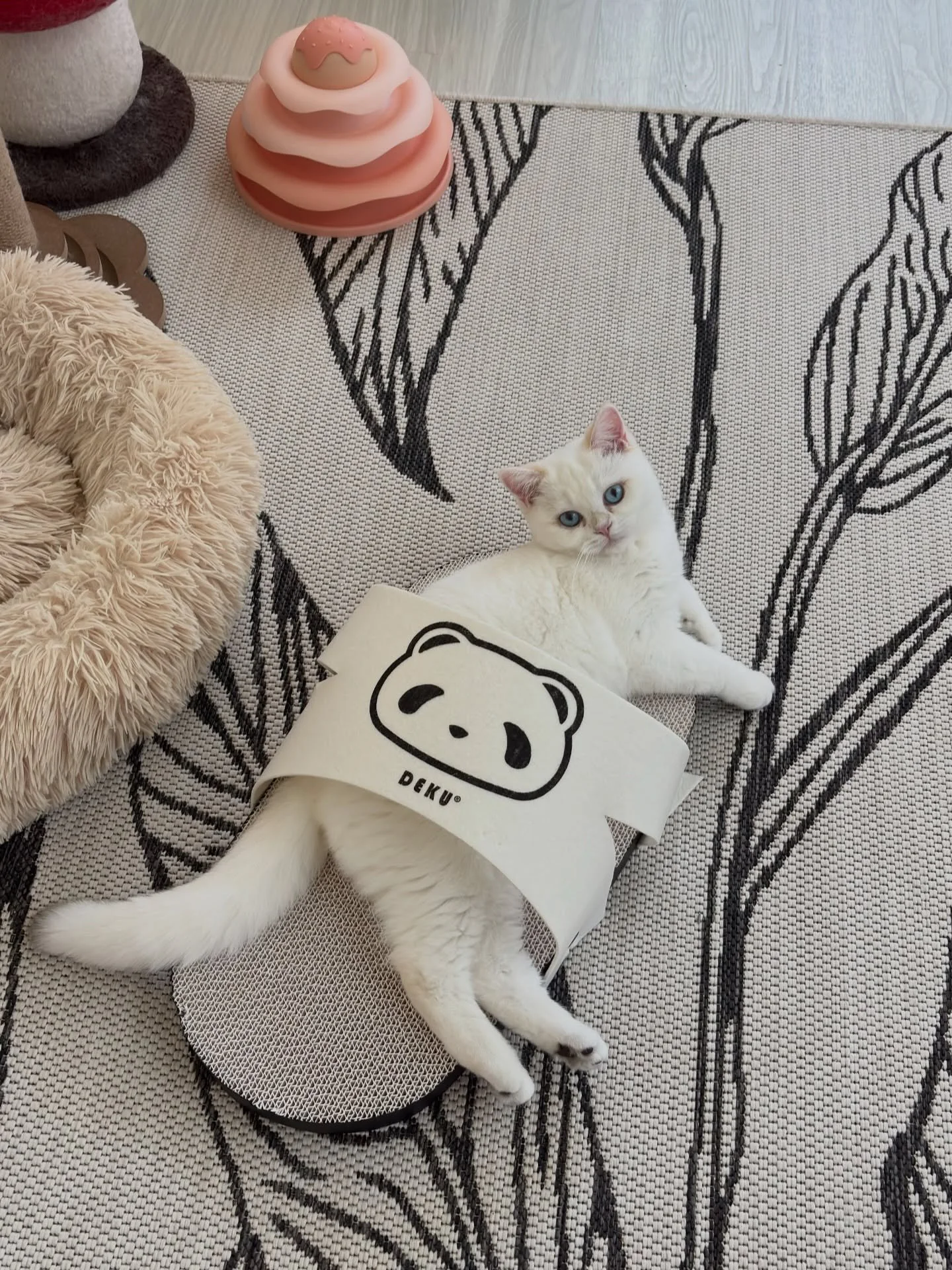 Found Loving Home 🤍

Yesterday was a big day - Our sweet girl Dada met her new family and it was an instant match! She went home the very same day, and we couldn&rsquo;t be happier knowing she&rsquo;s going to be so incredibly cherished by her new p