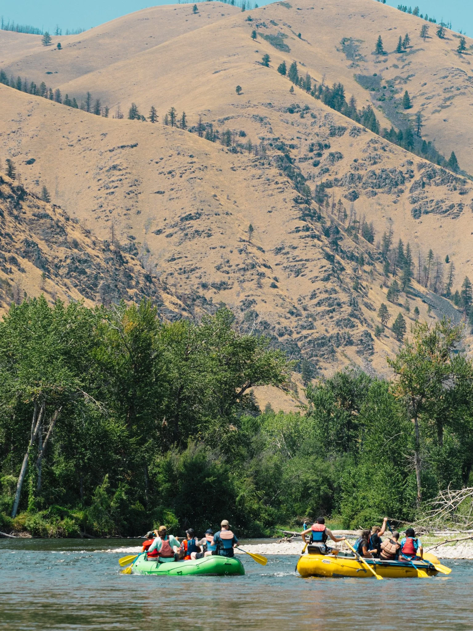 Multiple rafts full of passengers float downstream with green trees and an arid hillside in the background. 