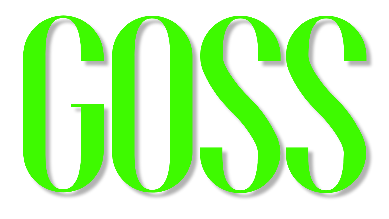 Girl on Sunday Studio