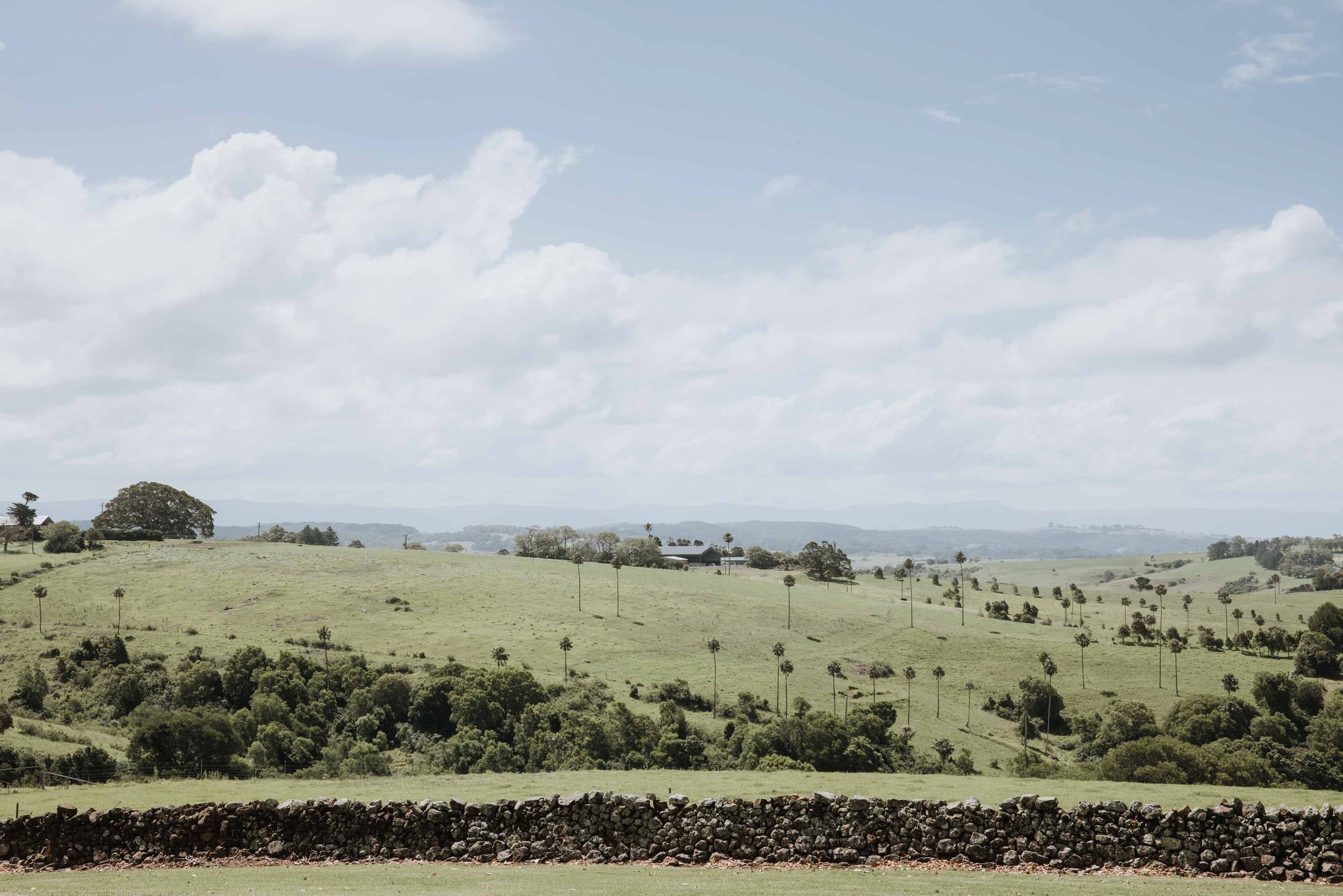 William James Studio_Greyleigh Kiama_65.jpg