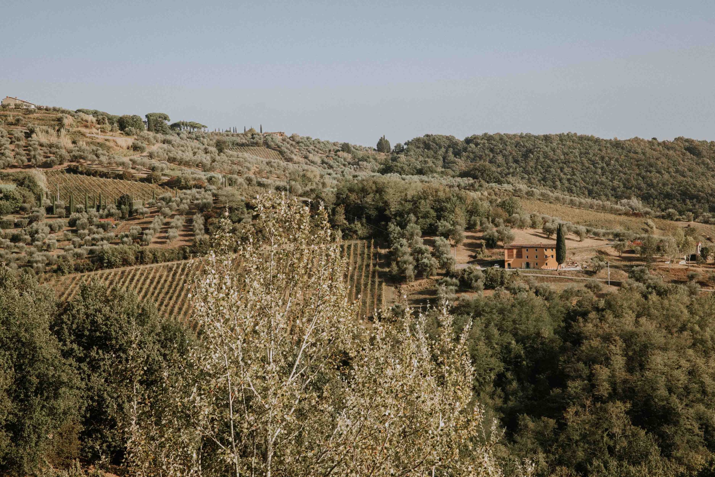 William James Studio_Tuscany Elopement_24.jpg
